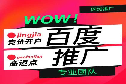 竞价排名中的数据分析和优化案例